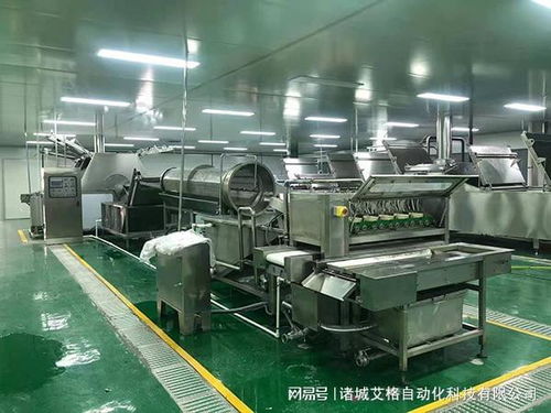 探秘諸城艾格自動化 解鎖鵪鶉蛋加工全流程設(shè)備奧秘與技術(shù)服務(wù)