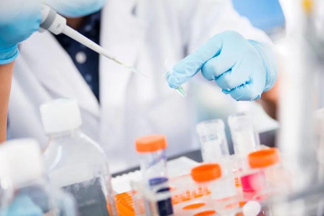 喜訊 | 中源協和參與國家“十四五”前沿技術重點研發項目，助力我國細胞治療產業高質量發展